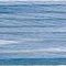 4235 Arctic Sea