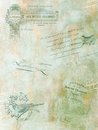 КД-208 Аида 18 30*40 см "Ретро (с птицами)"
