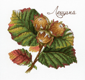 Дары природы. Лещина (13*13 см)